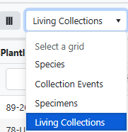 Grid_selections.png