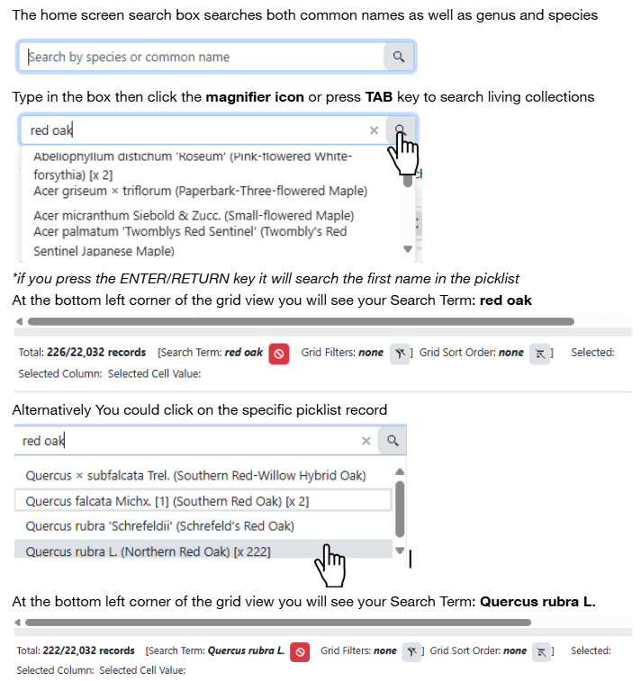 Home_Search_Instruction.png